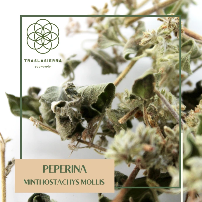 producto interno-peperina