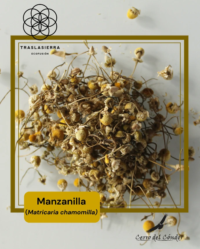 PRODUCTO INTERNO DE CALIDAD