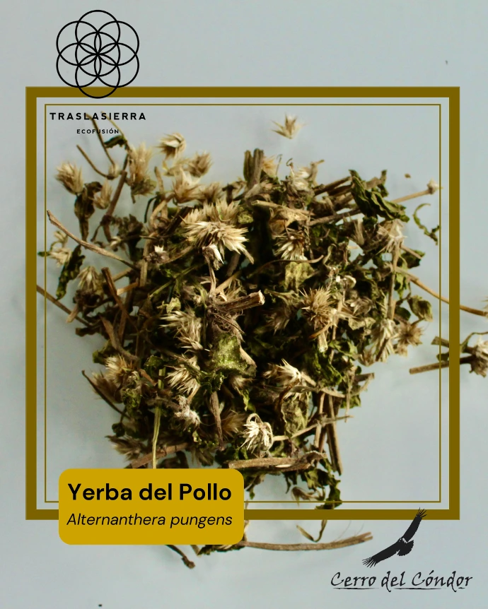 Producto interno - 