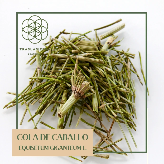 PRODUCTO INTERNO- CERRO DEL CONDOR