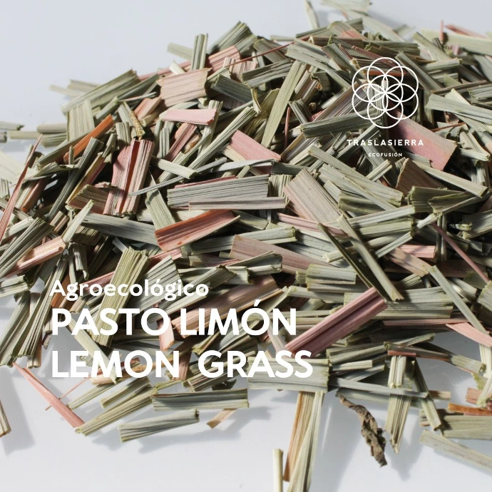 PASTO LIMON PRODUCTO INTERNO