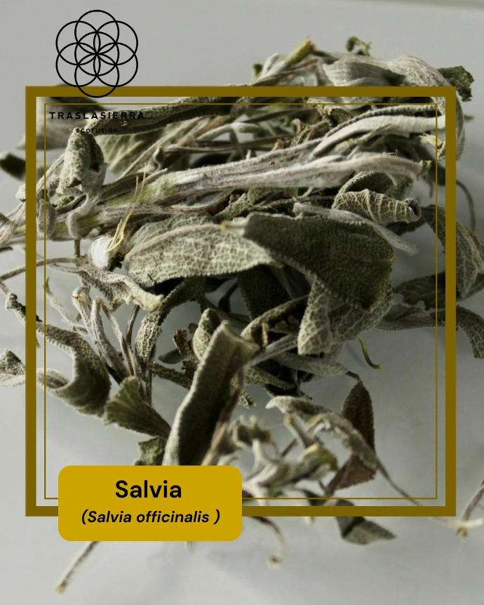 producto interno-salvia