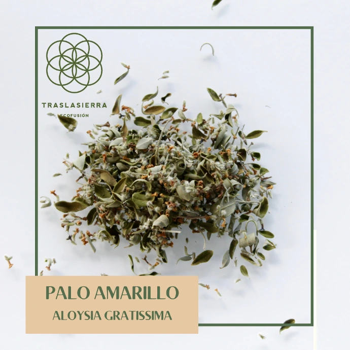producto interno