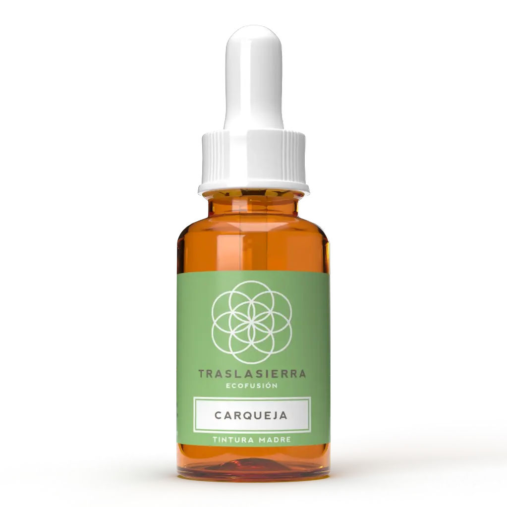 Tintura Madre de Carqueja