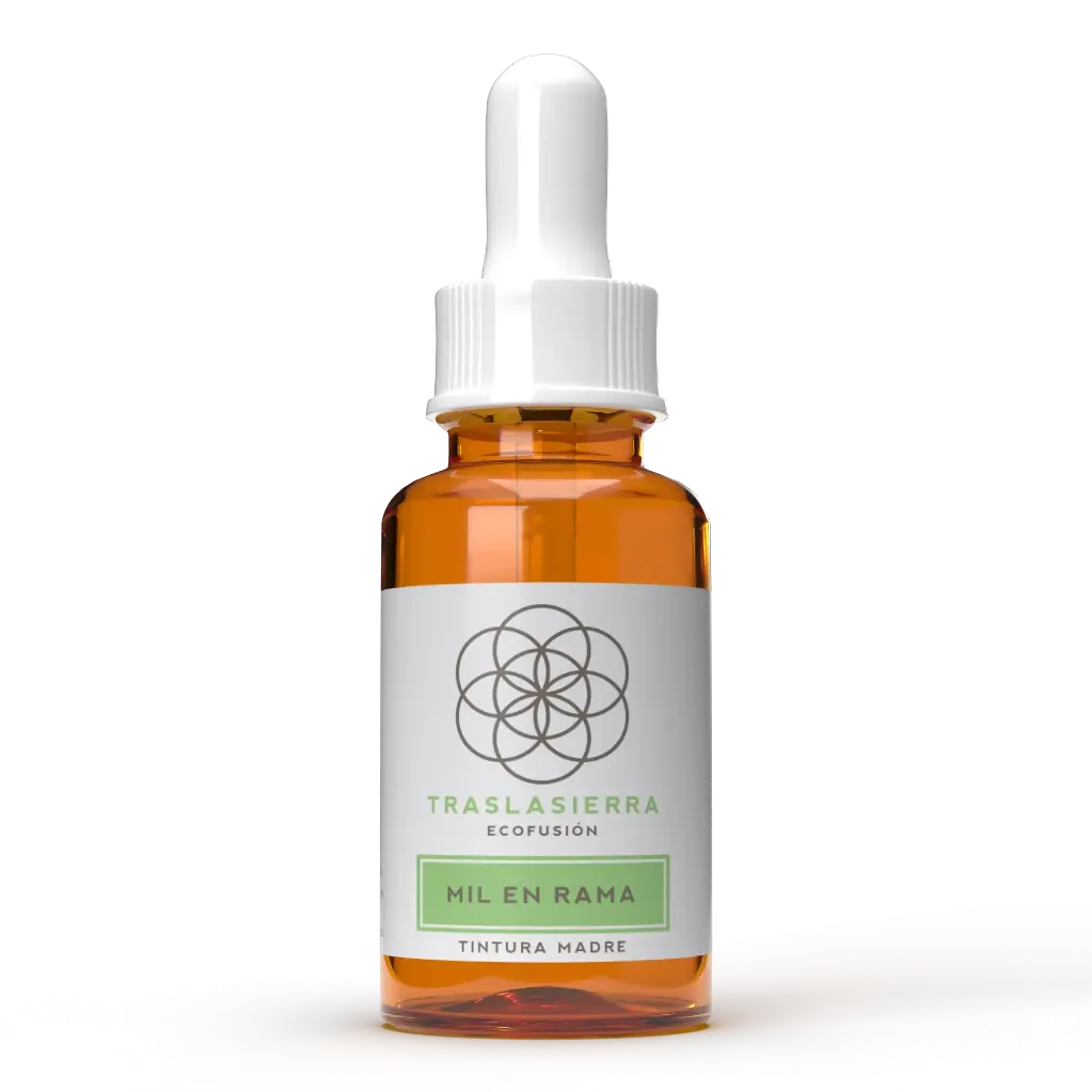 Tintura Madre de Mil en Rama