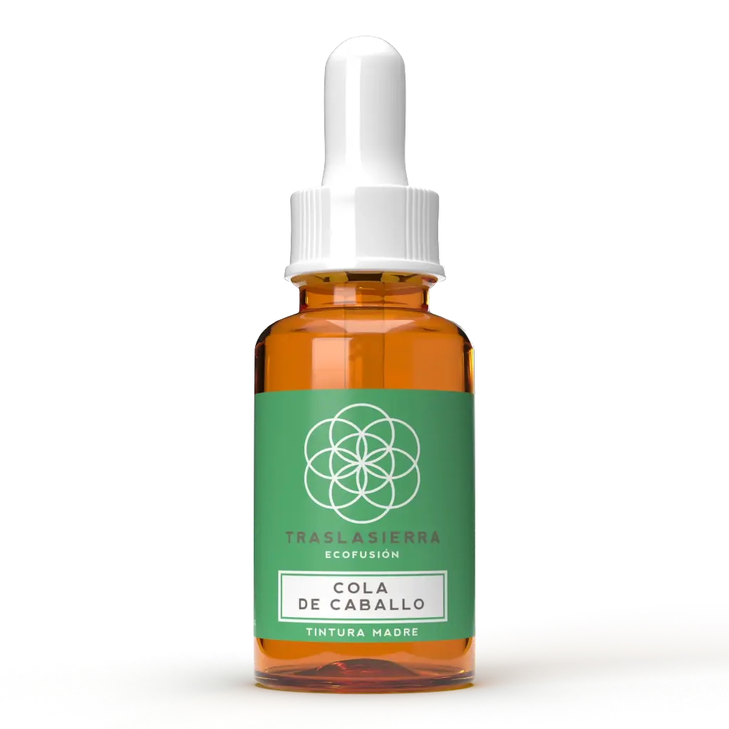 Tintura Madre de Cola de caballo