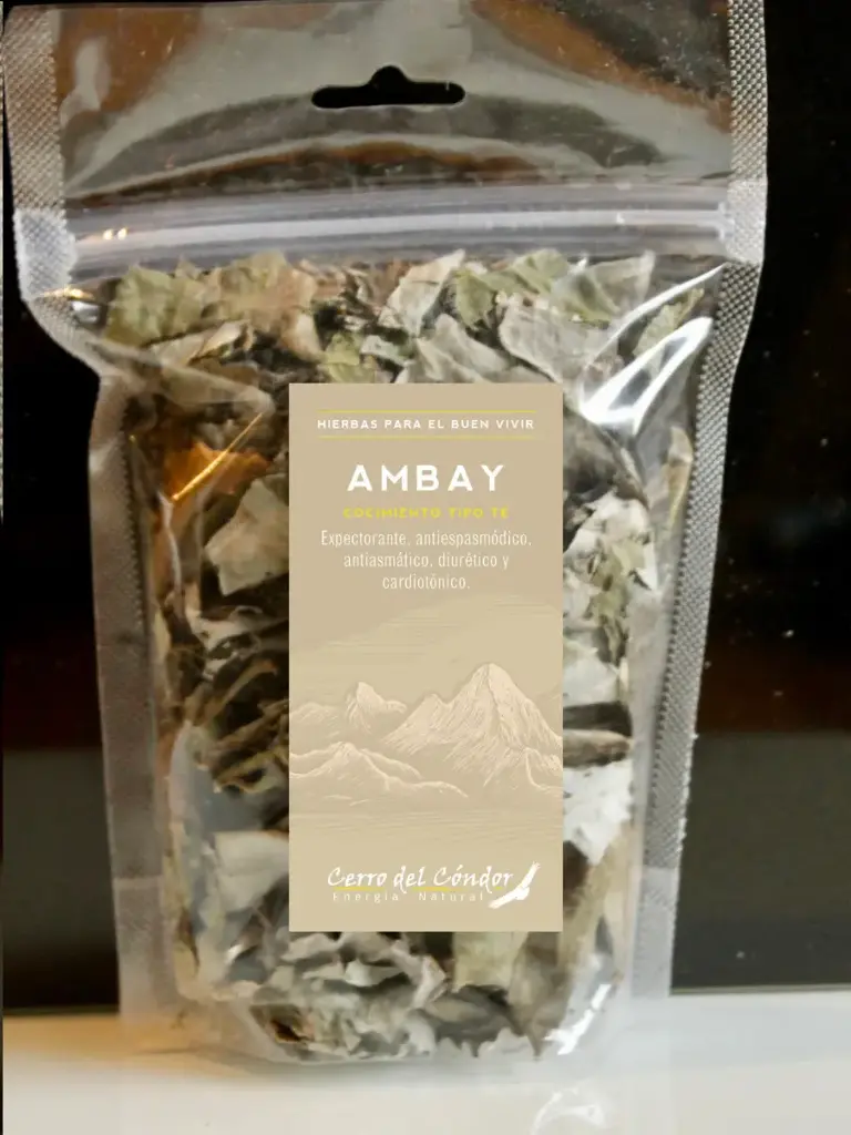 Ambay Doypack
