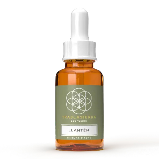 Tintura Madre de Llantén