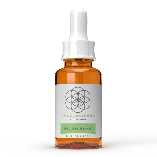 Tintura Madre de Mil en Rama