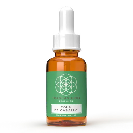 Tintura Madre de Cola de caballo