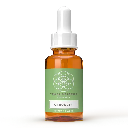 Tintura Madre de Carqueja